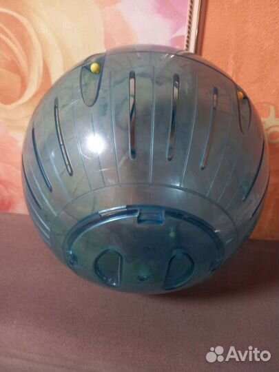 Шар для крыс, дегу