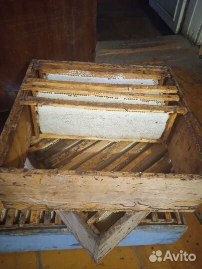 Мед в сотах