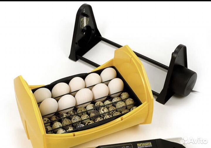 Инкубатор Brinsea Octagon 20 eco