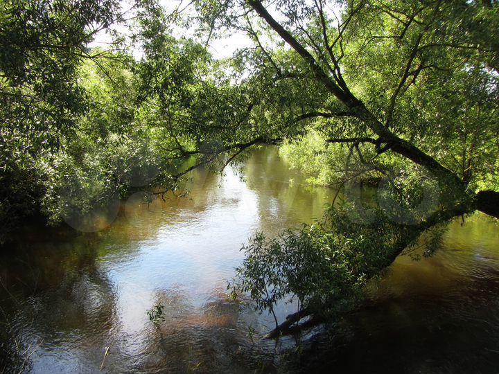 Участок 6 сот. (ИЖС)