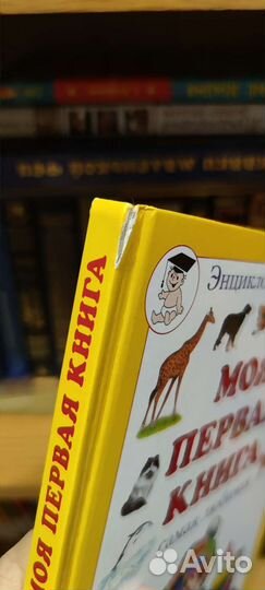 Моя первая книга Первые знания