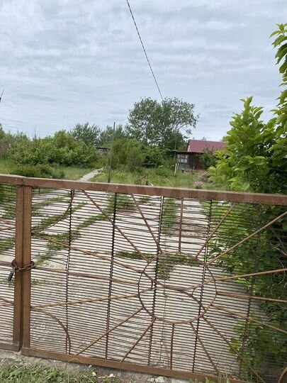 Участок 12 сот. (СНТ, ДНП)