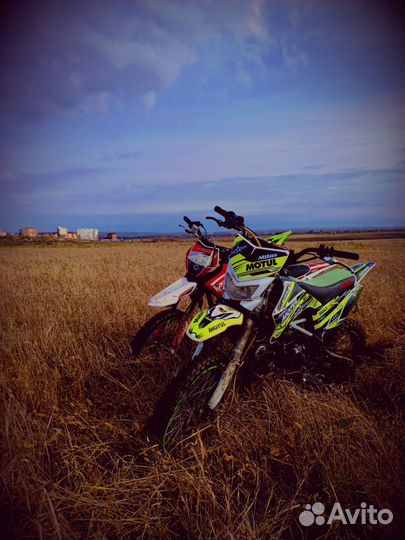 Питбайк irbis the 125 r