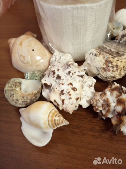 Подарочный набор ракушки свеча ароматическая