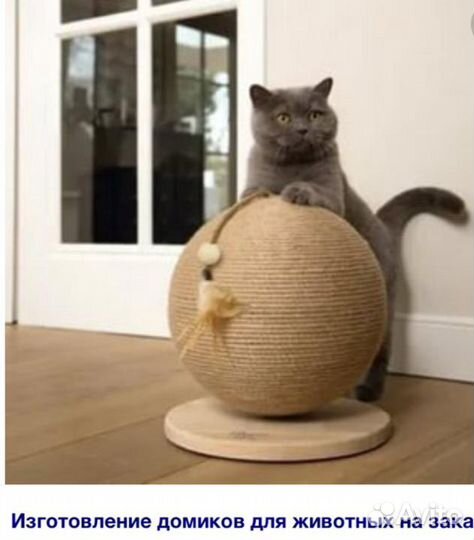 Когтеточка шар