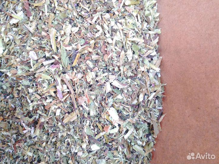 Эхинацея 100г