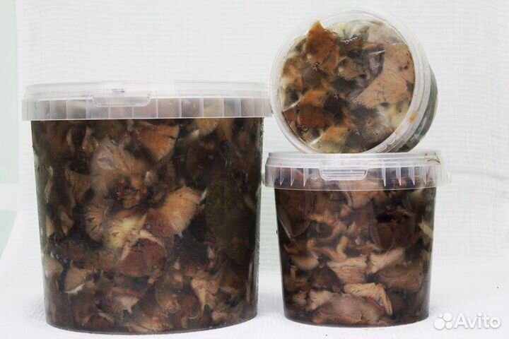 Грибы маринованные Оптом. Опята