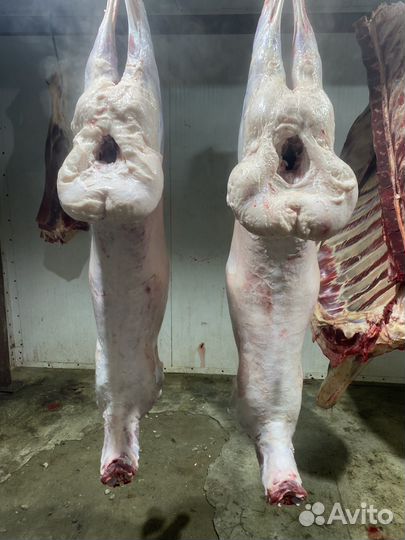 Говядина баранинна