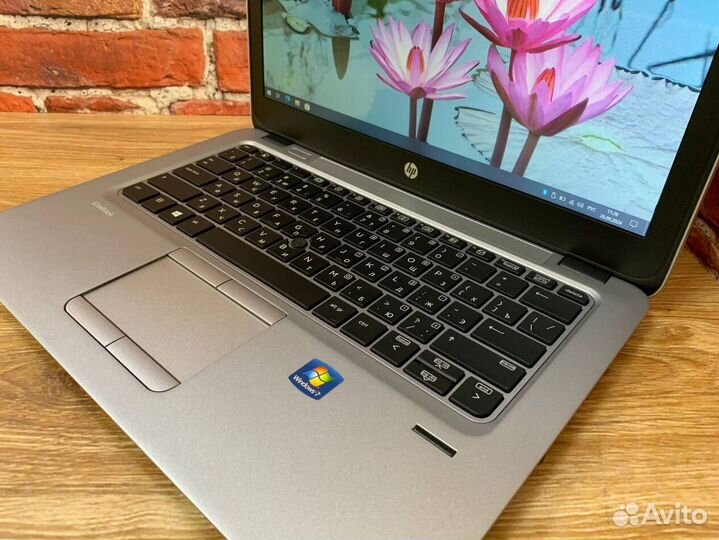 Для работы учебы игр HP EliteBook 725 Ноутбук SSD