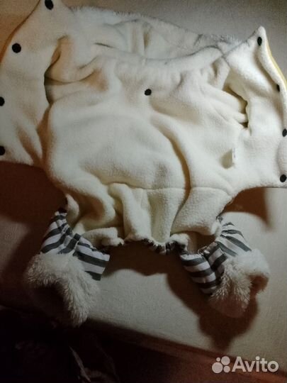 Одежда, обувь для животных