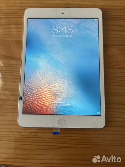 iPad mini