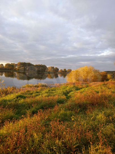 Участок 14,5 сот. (ИЖС)