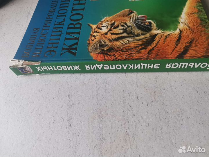 Детская энциклопедия