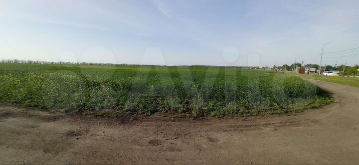 Участок 20 сот. (промназначения)