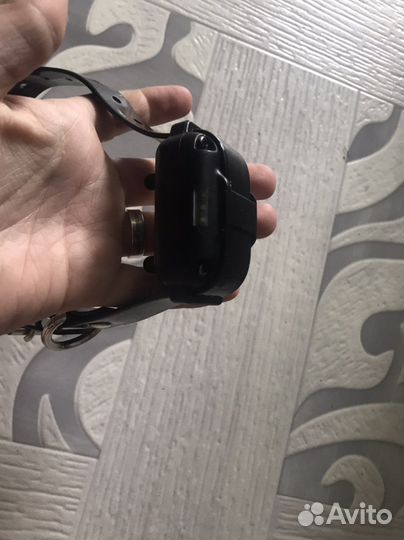 Ошейник для собак