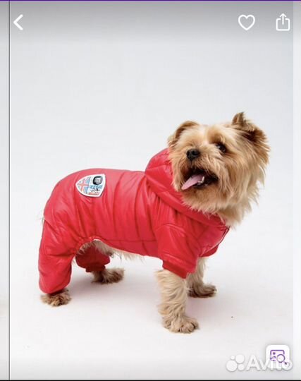 Комбинезон для маленькой собаки