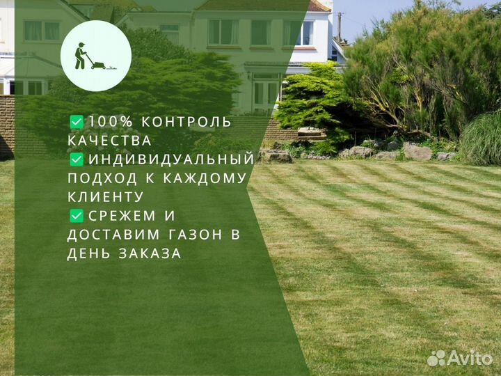 Рулонный газон напрямую от производителя