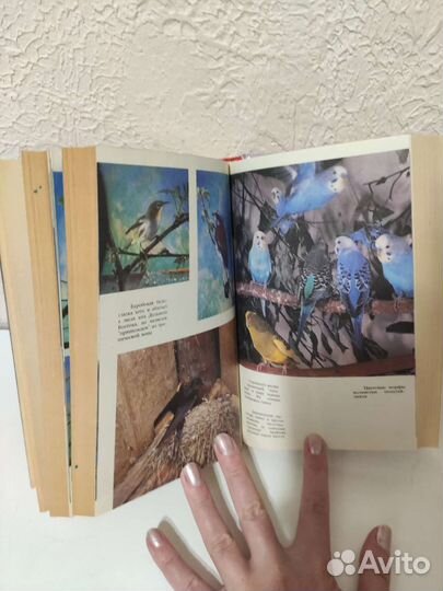 Книга про птиц