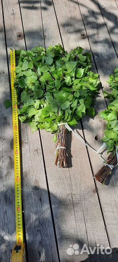 Банные веники берёзовые