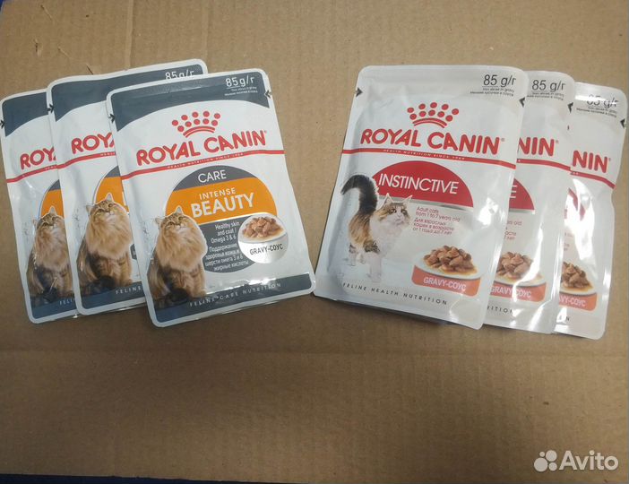 Влажный корм для кошек royal canin