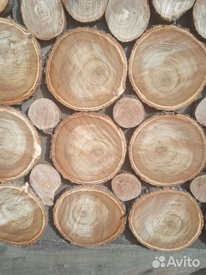 Спилы карагач