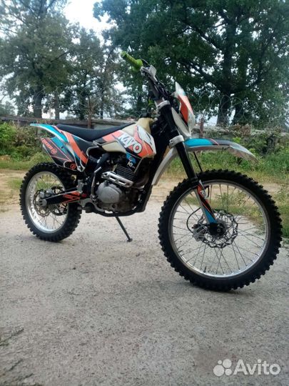Kayo K1 2022