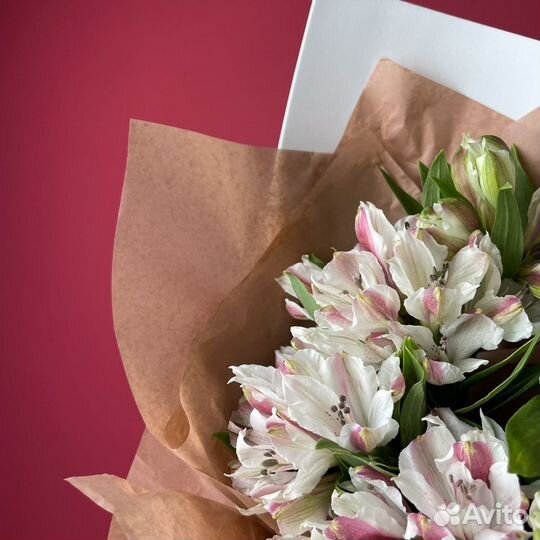 Нежность альстромерии