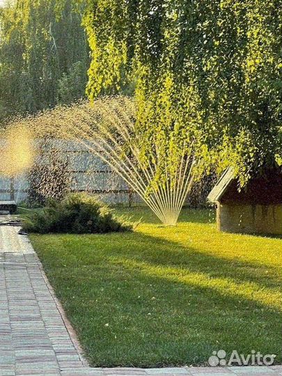 Рулонный газон от производителя элитный