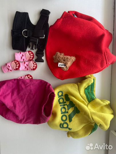Одежда для собак мелких пород