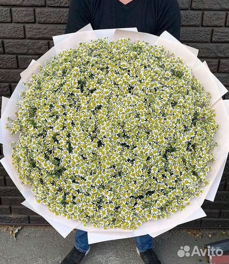 Доставка цветов. Ромашки