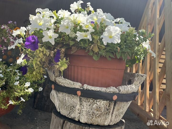 Цветочный горшок