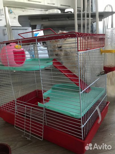 Клетка для грызунов большая