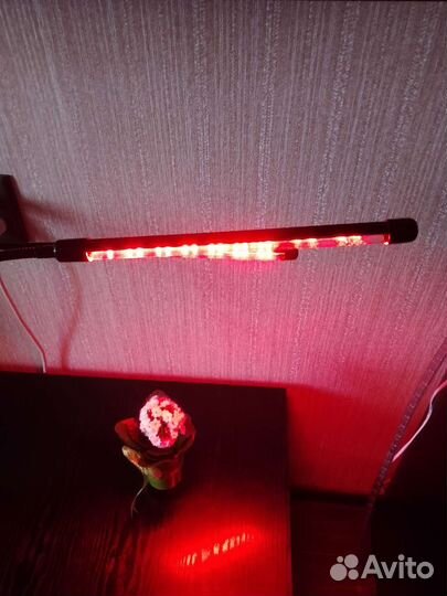 Фитолампа для растений