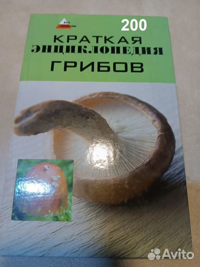 Суворова Т.Ю. Краткая энциклопедия грибов