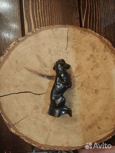 Сабачка дружок касли