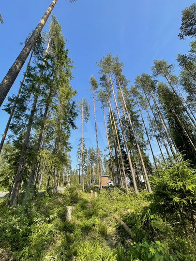 Участок 13,1 сот. (ИЖС)