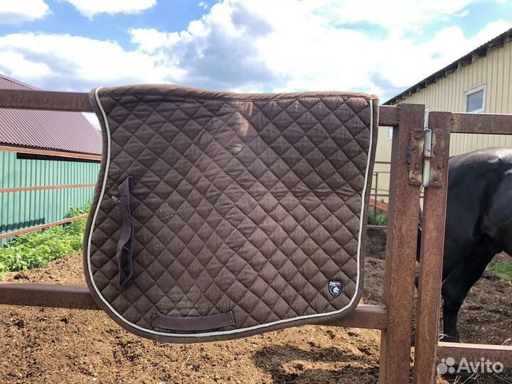 Амуниция для лошади (вальтрап, стремена и другое)