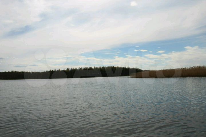 Участок 36 сот. (ИЖС)