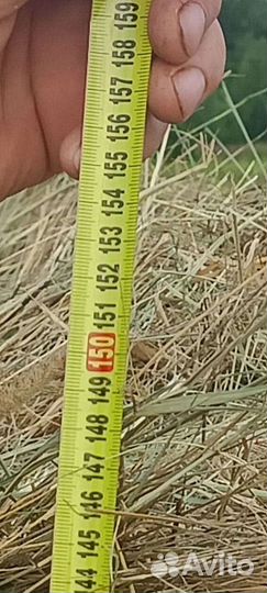 Сено в рулонах