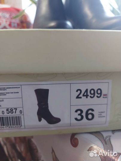 Сапоги женские демисезонные