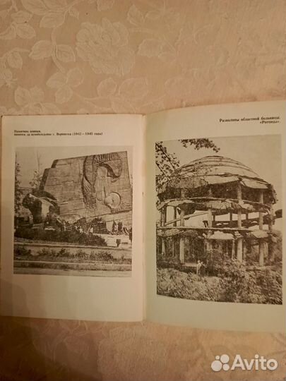 Книга Воронеж Памятники города