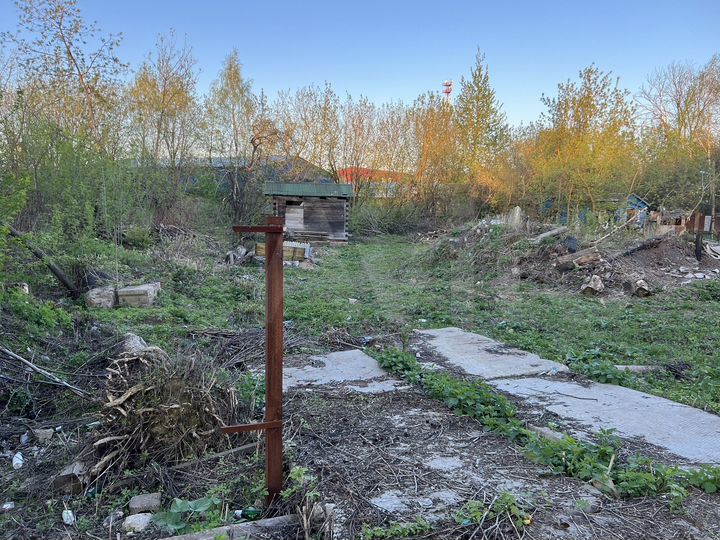 Участок 12,5 сот. (ИЖС)