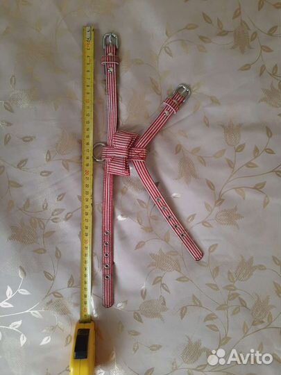 Ошейники, шлейки, поводки, чесалки для собаки