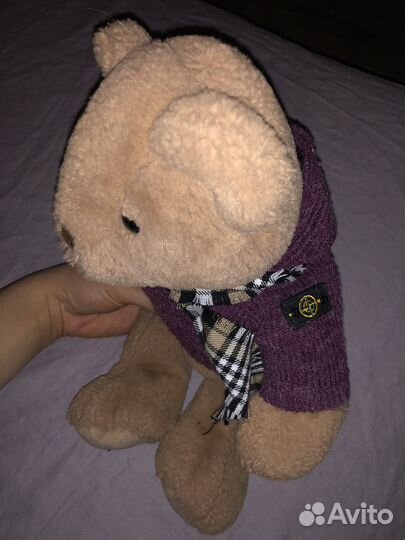 Медведь Stone island