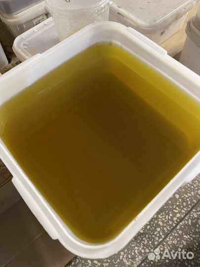 Алтайский мед оптом