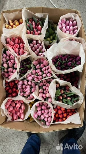 Тюльпаны к 8 марта оптом розница букеты