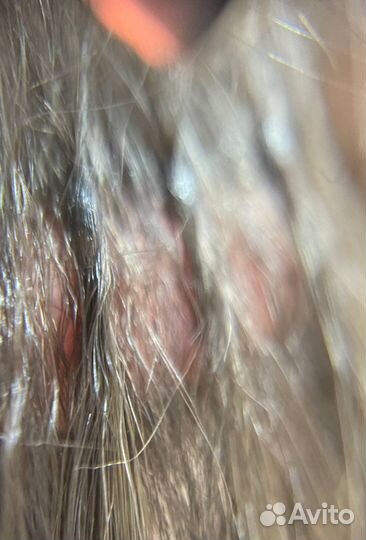 Наращивание волос (микро)