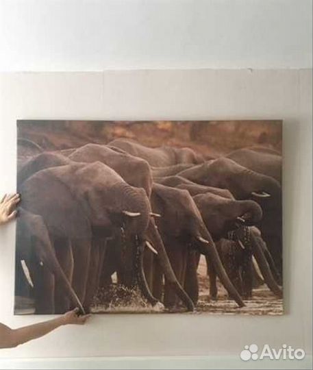 Бьёркста Картина Ikea, Африканские слоны. Новая