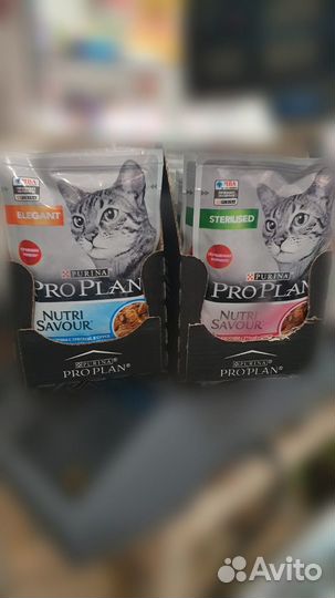 Влажный корм для кошек Pro Plan