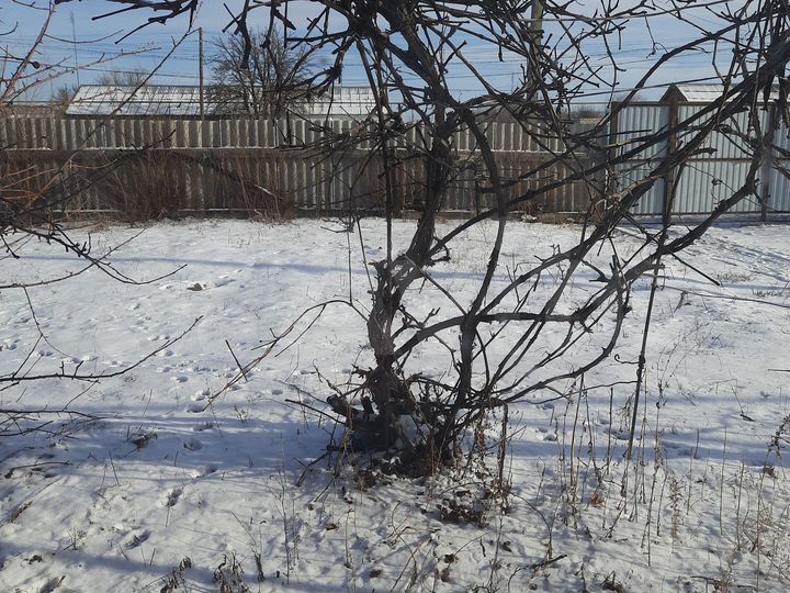 Участок 6 сот. (ИЖС)